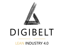 Logo_digibelt-1